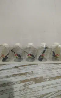 جا ادویه ای