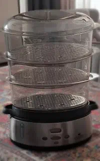 بخار پز برقی