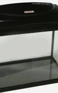 آکواریوم شرکتی