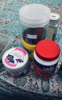 غذای ماهی