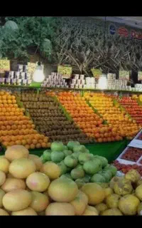 واگذاری کانکس فروش میوه و تره بار