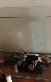 اکواریوم شرکتی