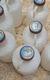 دبه خیارشور