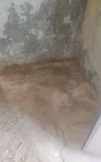 جویای کار