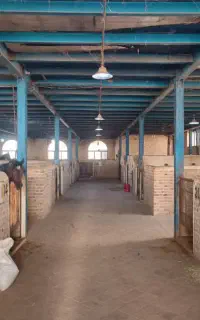 پانسیون اسب و باشگاه سوار کاری