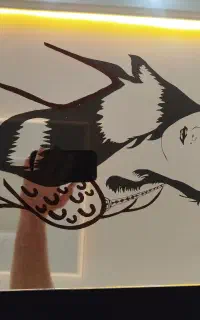 آینه طراحی شده چهره