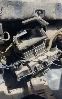 شاگرد یا همکار خانم برای کولر و برق خودرو