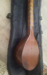 ساز ،میکروفون رو دوربینی