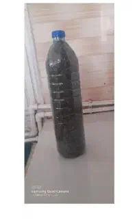 پونه خوشبو۱۲۰