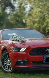 تشریفات عروسی سالن عقد