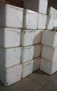یخدان بزرگ اکاسیف(یونیلیت) منجمد ماهی و گوشت