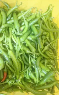 اشپز