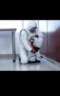 سم پاشی حشرات و جانوران موذی شبانه روزی