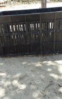 سبد گوجه