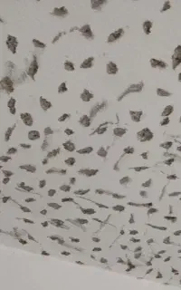 تخریب و تعمیرات ساختمان