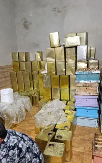 عسل گشنیز
