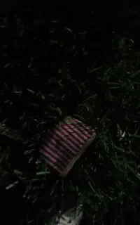 پیدا شده