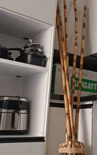 چوب بامبو با گلدان در حد نو