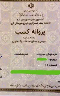 تشخیص رنگ و کارشناسی خودرو مهدی زاده قیمت ۹۵۰