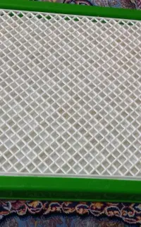 پت سگ جای ادرار کوله باکس بزرگ معاوضه باجای خواب