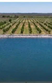 فروش ورق ژئوممبران