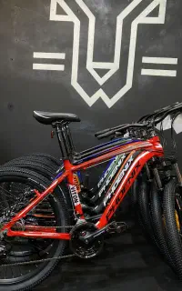 دوچرخه برای تمامی سنین تنوع بالا برای هر بودجه