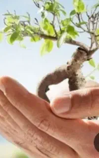 نمایندگی بیمه عمر پاسارگاد کد۹۳۴۲۸(نبی دوست)
