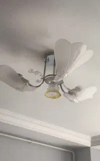 دو عدد لوستر 3 و 6 شاخه