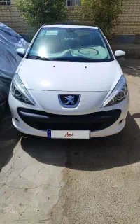 207 مدل 1404 پانا