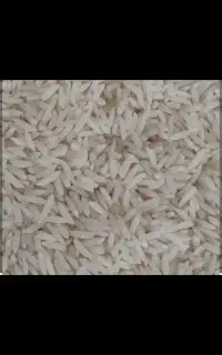 برنج طارم هاشمی مازندران(ساری)