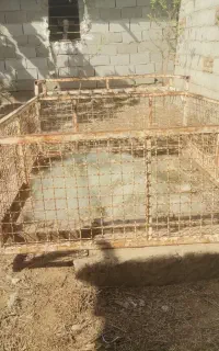 باربند  توری پیکان وانت