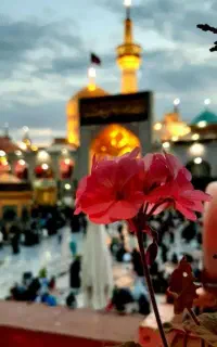 زیارت امام رضا با تورهای ویژه پاییزی  قیمت مناسب