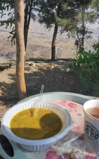 تولید محتوای طبیعت گردی