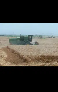 فروش هد کلزا