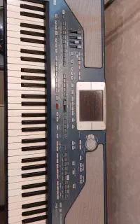ارگ PA 800  سری 603