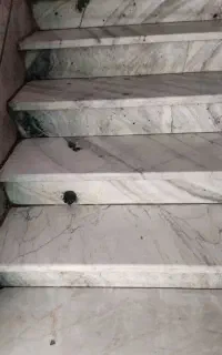 نظافت راه‌پله و داخل واحد تهران و شهرری