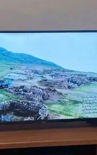 تلویزیون