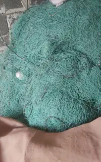 تور رکسه شیری 26پان