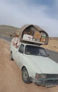 وانت بار پیکان