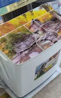 لباسشویی دوقلو اکسلنت/۱۰کیلو/ ۲موتوره مسیEXCELLENT