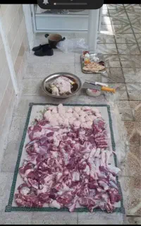 قصاب سیار گاو گوساله گوسفند در محل مشتری