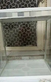 اکواریوم
