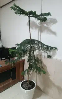 استخدام حساب دار پاره وقت
