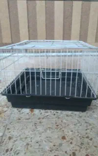 قفس