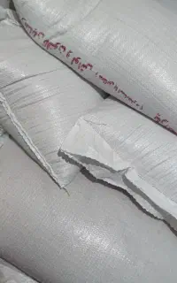 گندم آذر دو (دیم)