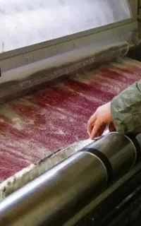 قالیشویی عباس آباد اندیشه سهروردی نیلوفر مطهری