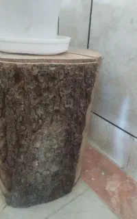 تنه درخت بلوط