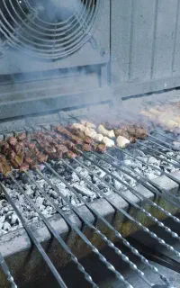 سینی اقتصادی جگر