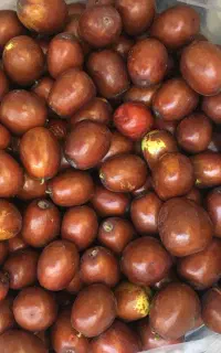 عناب تازه