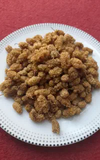 توت. پیوندی